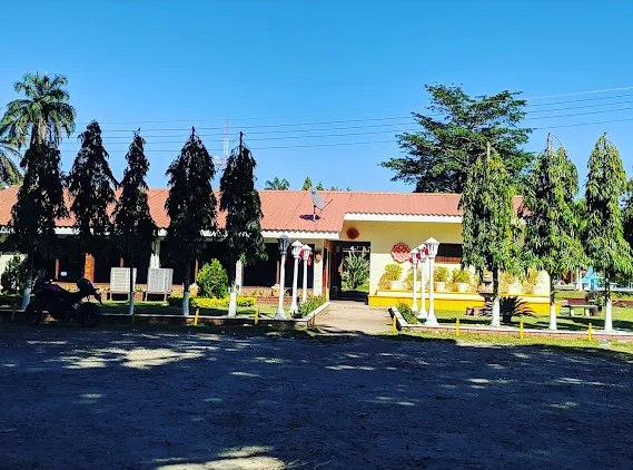 Fachada principal del club rodeada de palmeras